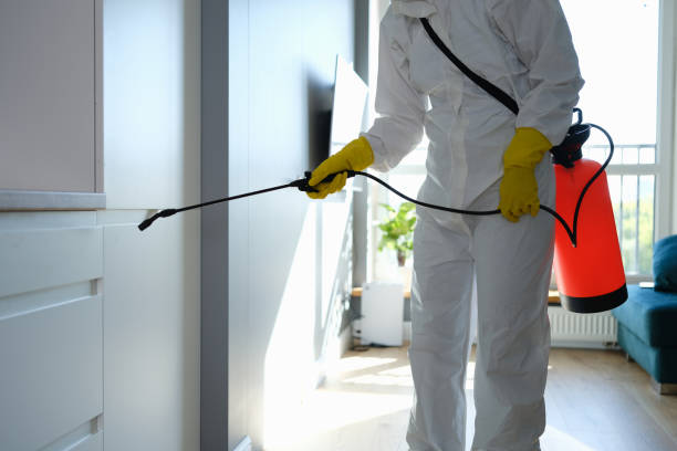 Best Mold Remediation for Specific Building Types in Hart, TX